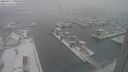 ./images/victoria/wharf/20240117/wharf20240117_090500.jpg