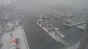 ./images/victoria/wharf/20240117/wharf20240117_091001.jpg