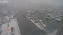 ./images/victoria/wharf/20240117/wharf20240117_091500.jpg