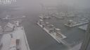 ./images/victoria/wharf/20240117/wharf20240117_092500.jpg