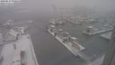 ./images/victoria/wharf/20240117/wharf20240117_093000.jpg