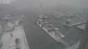 ./images/victoria/wharf/20240117/wharf20240117_093501.jpg