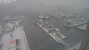 ./images/victoria/wharf/20240117/wharf20240117_094001.jpg