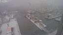 ./images/victoria/wharf/20240117/wharf20240117_094501.jpg