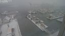 ./images/victoria/wharf/20240117/wharf20240117_095500.jpg