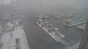 ./images/victoria/wharf/20240117/wharf20240117_100000.jpg