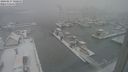 ./images/victoria/wharf/20240117/wharf20240117_100500.jpg