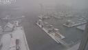 ./images/victoria/wharf/20240117/wharf20240117_101000.jpg