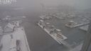./images/victoria/wharf/20240117/wharf20240117_101500.jpg
