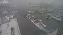 ./images/victoria/wharf/20240117/wharf20240117_102001.jpg
