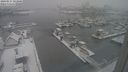 ./images/victoria/wharf/20240117/wharf20240117_103000.jpg