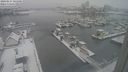 ./images/victoria/wharf/20240117/wharf20240117_105500.jpg