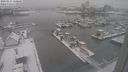 ./images/victoria/wharf/20240117/wharf20240117_110001.jpg