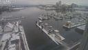 ./images/victoria/wharf/20240117/wharf20240117_142001.jpg
