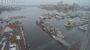 ./images/victoria/wharf/20240120/wharf20240120_081000.jpg
