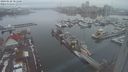 ./images/victoria/wharf/20240120/wharf20240120_081500.jpg