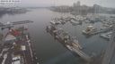 ./images/victoria/wharf/20240120/wharf20240120_085500.jpg
