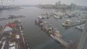 ./images/victoria/wharf/20240120/wharf20240120_094501.jpg