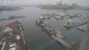 ./images/victoria/wharf/20240120/wharf20240120_095500.jpg