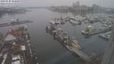 ./images/victoria/wharf/20240120/wharf20240120_102501.jpg