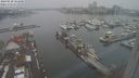 ./images/victoria/wharf/20240120/wharf20240120_103000.jpg