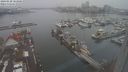 ./images/victoria/wharf/20240120/wharf20240120_103501.jpg