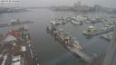 ./images/victoria/wharf/20240120/wharf20240120_104500.jpg
