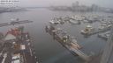 ./images/victoria/wharf/20240120/wharf20240120_110500.jpg