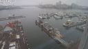 ./images/victoria/wharf/20240120/wharf20240120_114500.jpg