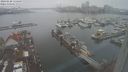./images/victoria/wharf/20240120/wharf20240120_115500.jpg