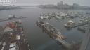 ./images/victoria/wharf/20240120/wharf20240120_121500.jpg