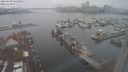 ./images/victoria/wharf/20240120/wharf20240120_123500.jpg