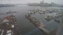 ./images/victoria/wharf/20240120/wharf20240120_124000.jpg