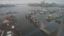 ./images/victoria/wharf/20240120/wharf20240120_125000.jpg