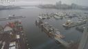 ./images/victoria/wharf/20240120/wharf20240120_125501.jpg