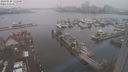 ./images/victoria/wharf/20240120/wharf20240120_131000.jpg