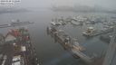 ./images/victoria/wharf/20240120/wharf20240120_132501.jpg