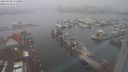 ./images/victoria/wharf/20240120/wharf20240120_133000.jpg