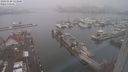 ./images/victoria/wharf/20240120/wharf20240120_133500.jpg