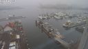 ./images/victoria/wharf/20240120/wharf20240120_134500.jpg
