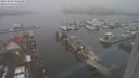 ./images/victoria/wharf/20240120/wharf20240120_135001.jpg