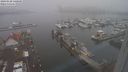 ./images/victoria/wharf/20240120/wharf20240120_140000.jpg