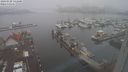 ./images/victoria/wharf/20240120/wharf20240120_141500.jpg