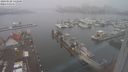 ./images/victoria/wharf/20240120/wharf20240120_142001.jpg