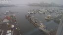 ./images/victoria/wharf/20240120/wharf20240120_142500.jpg