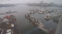 ./images/victoria/wharf/20240120/wharf20240120_144500.jpg