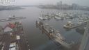 ./images/victoria/wharf/20240120/wharf20240120_145501.jpg