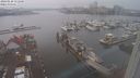 ./images/victoria/wharf/20240120/wharf20240120_151000.jpg