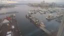 ./images/victoria/wharf/20240121/wharf20240121_092500.jpg