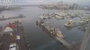 ./images/victoria/wharf/20240121/wharf20240121_095000.jpg